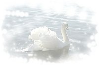 b-haku1_.jpg (4558 oCg)