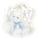 b-kuma_.jpg (3350 oCg)