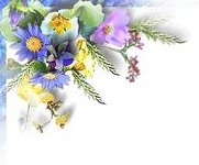 bk-hana_.jpg (7534 oCg)