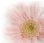 bk-ms-h_.jpg (4835 oCg)