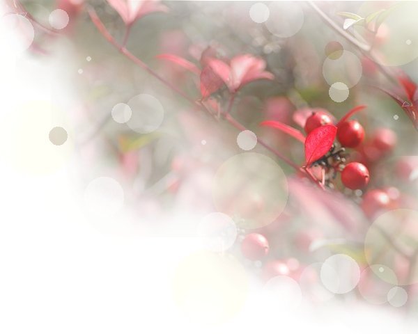 bk-syo2.jpg (26214 oCg)