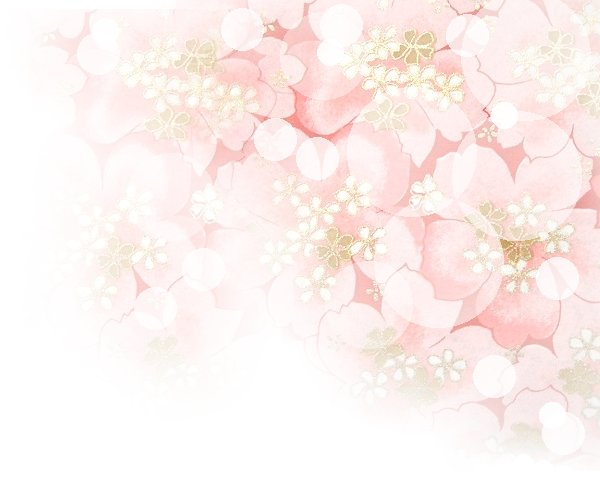 bk-syo5.jpg (33866 oCg)