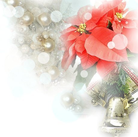 bk-xhi.JPG (39961 �o�C�g)