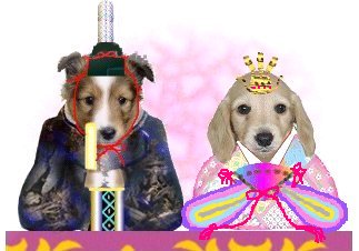 ohinasam.jpg (18931 oCg)