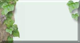 p-bdo.JPG (4322 oCg)