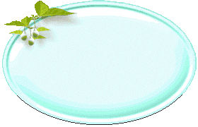 p-br1-.GIF (11705 oCg)