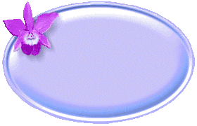 p-br4-.GIF (12616 oCg)