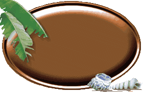 p-br8-.GIF (10494 oCg)