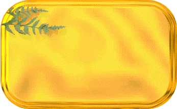 p-g-ki2_.GIF (28582 oCg)