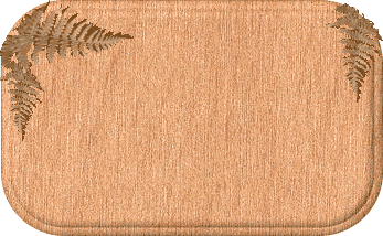 p-gmok2_.gif (44492 oCg)