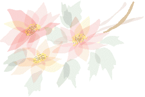 poinstia.GIF (11826 bytes)