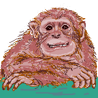 tinpa-.gif (18082 oCg)