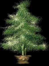 x-tree2.JPG (8529 �o�C�g)