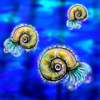 �z�E�@�����n�ł̗l�q�i�c�́j