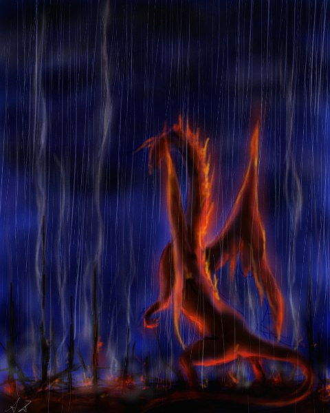 �J�̒��̉Η�