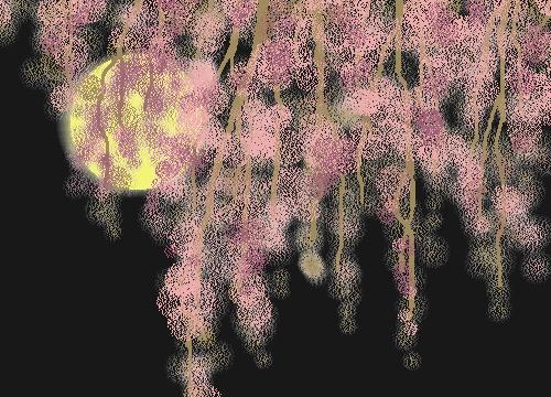 �}������Ɩ���