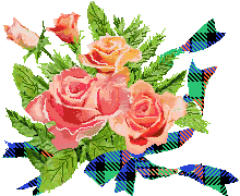 cu-hantb.gif (13708 �o�C�g)