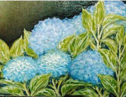 azisai.JPG (33283 oCg)