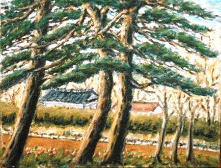 e-matu.jpg (32272 oCg)