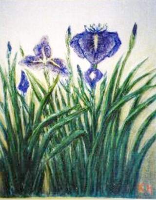 e-syoubu.JPG (24017 oCg)