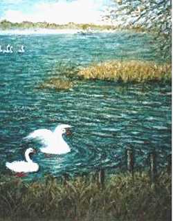 e-tori.JPG (25918 oCg)