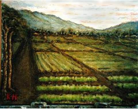 e-yahiko.JPG (30506 oCg)