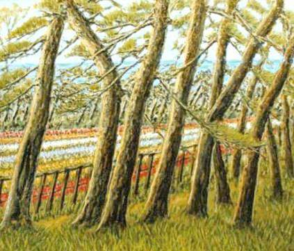 e-yuen.jpg (37585 oCg)