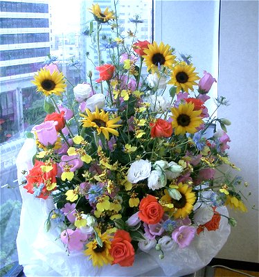 koubehnt.jpg (59218 oCg)