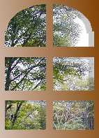 mado01.jpg (7140 �o�C�g)