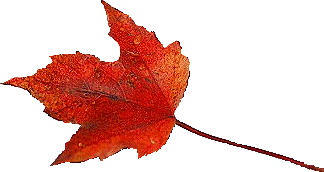 otiba4.gif (17797 �o�C�g)