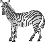 simauma.gif (4181 bytes)