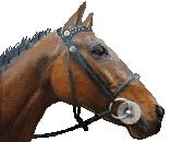 uma-1-2.gif (6295 �o�C�g)