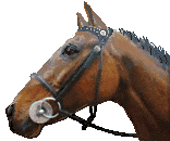 uma-1.gif (6311 �o�C�g)