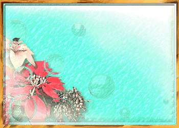 x-c3.JPG (11141 oCg)