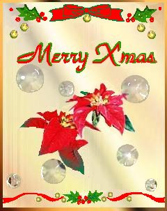 xc-1.JPG (20689 oCg)