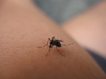 【グロ】長く見ていると不安定になってくる画像。精神的有害