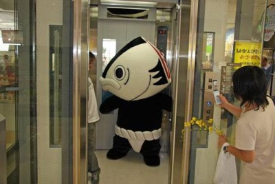 初ガツオ・・・ども・・・